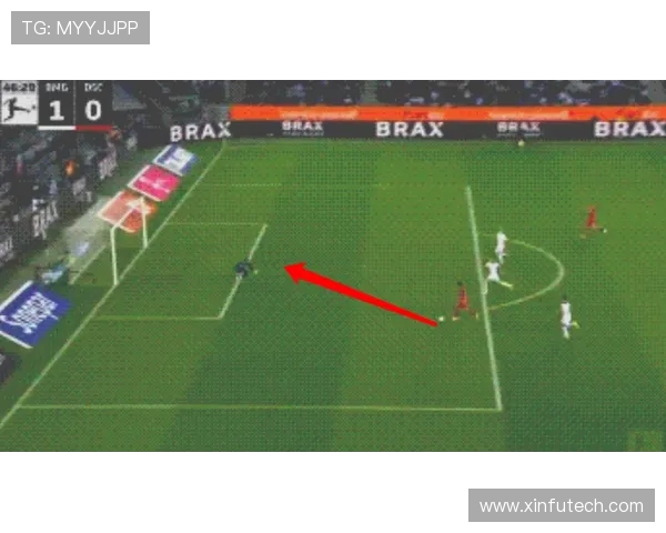 德甲球队属于什么级别联赛？德国足球体系全解析